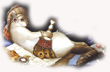 Copia di Catz 2